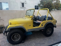 1967 Jeep CJ5 for sale in Michigan (ID-138979)