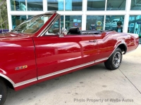 1967 Oldsmobile Cutlass for sale in Riverhead, New York (ID-163996)