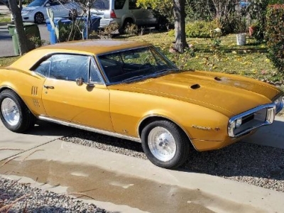 1967 Pontiac Firebird for sale