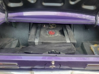 1967 Pontiac Firebird for sale in Michigan (ID-116696)