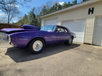 1967 Pontiac Firebird for sale in Michigan (ID-116696)