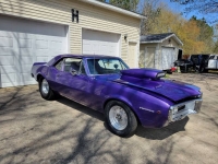 1967 Pontiac Firebird for sale in Michigan (ID-116696)