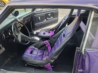 1967 Pontiac Firebird for sale in Michigan (ID-116696)
