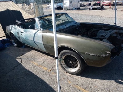 1967 Pontiac Firebird for sale