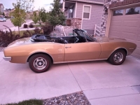 1967 Pontiac Firebird for sale in Michigan (ID-120922)