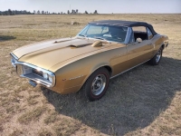 1967 Pontiac Firebird for sale in Michigan (ID-120922)