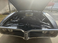 1967 Pontiac Firebird for sale in Michigan (ID-124378)