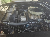 1967 Pontiac Firebird for sale in Michigan (ID-124378)