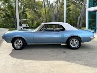 1967 Pontiac Firebird for sale in Riverhead, New York (ID-126514)