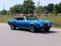 1967 Pontiac Firebird for sale in Riverhead, New York (ID-128226)