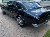 1967 Pontiac Firebird for sale in Michigan (ID-131814)