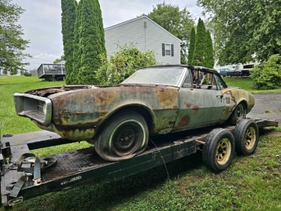 1967 Pontiac Firebird for sale
