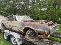 1967 Pontiac Firebird for sale in Michigan (ID-132104)