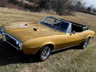 1967 Pontiac Firebird for sale