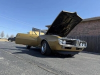 1967 Pontiac Firebird for sale in Michigan (ID-140140)