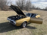 1967 Pontiac Firebird for sale (ID-140635)