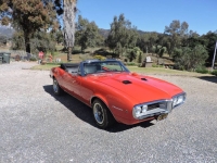 1967 Pontiac Firebird for sale in Michigan (ID-143787)