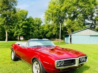 1967 Pontiac Firebird for sale (ID-144779)
