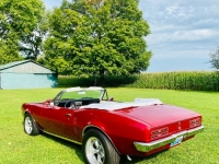 1967 Pontiac Firebird for sale (ID-144779)