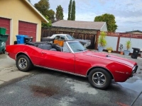 1967 Pontiac Firebird for sale in Michigan (ID-155253)