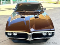 1967 Pontiac Firebird for sale in Riverhead, New York (ID-161794)