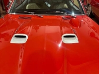 1967 Pontiac Firebird for sale in Michigan (ID-164318)