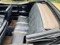 1967 Pontiac Firebird for sale in Michigan (ID-164578)