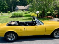 1967 Pontiac Firebird for sale in Michigan (ID-164578)