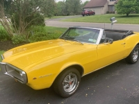 1967 Pontiac Firebird for sale in Michigan (ID-164578)