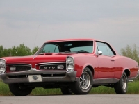 1967 Pontiac GTO for sale in Riverhead, New York (ID-116857)