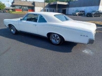 1967 Pontiac GTO for sale in Riverhead, New York (ID-119403)