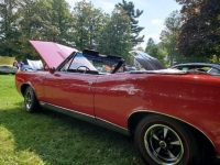 1967 Pontiac GTO for sale in Michigan (ID-125611)