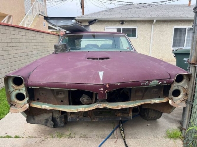 1967 Pontiac GTO for sale