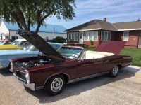 1967 Pontiac GTO for sale in Michigan (ID-143490)