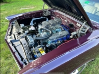 1967 Pontiac GTO for sale in Michigan (ID-143783)