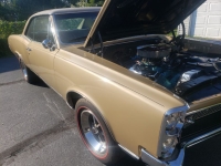 1967 Pontiac GTO for sale (ID-145219)