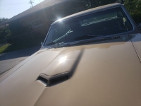 1967 Pontiac GTO for sale (ID-145219)