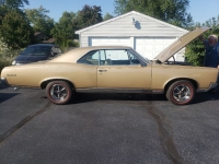 1967 Pontiac GTO for sale (ID-145219)