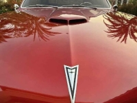 1967 Pontiac GTO for sale (ID-146213)