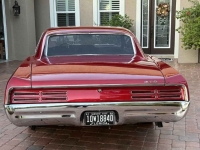 1967 Pontiac GTO for sale (ID-146213)