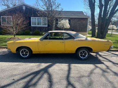 1967 Pontiac GTO for sale