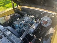 1967 Pontiac GTO for sale in Michigan (ID-162790)