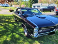 1967 Pontiac GTO for sale in Michigan (ID-163665)