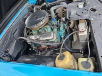 1967 Pontiac LeMans for sale in Michigan (ID-123794)