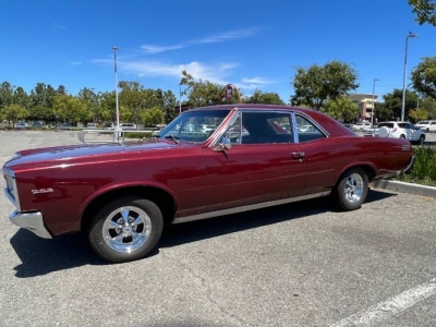 1967 Pontiac Tempest for sale