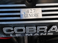 1967 Shelby Cobra for sale in Michigan (ID-145594)