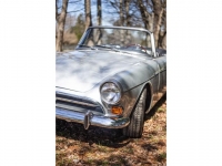 1967 Sunbeam Tiger for sale in Michigan (ID-117999)