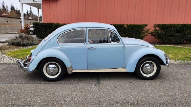 1967 Volkswagen Beetle for sale in Michigan (ID-113646)
