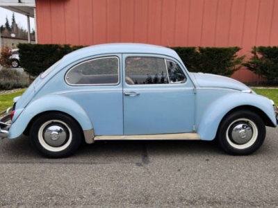 1967 Volkswagen Beetle for sale