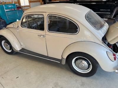 1967 Volkswagen Beetle for sale